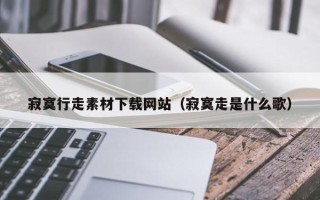 启东寂寞行走素材下载网站（寂寞走是什么歌）